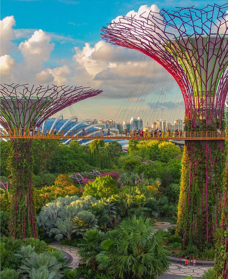 asia_gallery_1